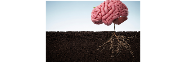 A call for a paradigm shift: embracing root cause psychiatry in treating chronic mental illness